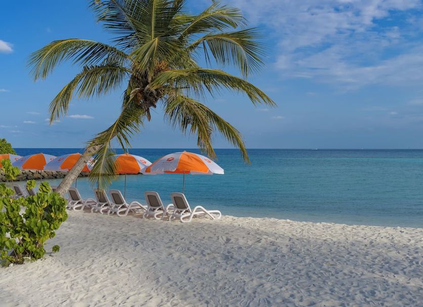 Plage Photo