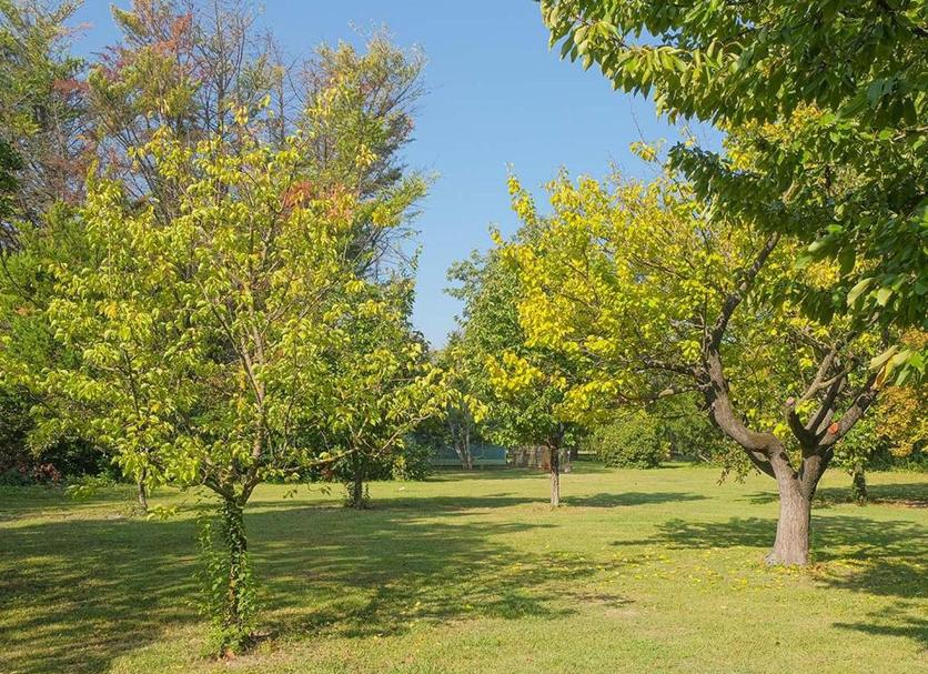 Extérieur Photo