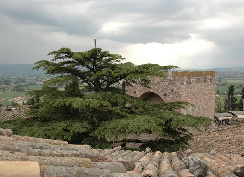 Extérieur Photo