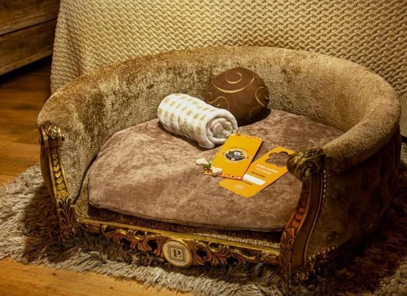Équipements de la chambre Photo