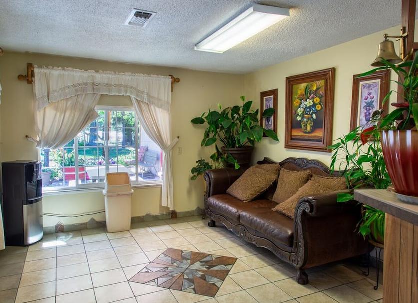 Salon Photo