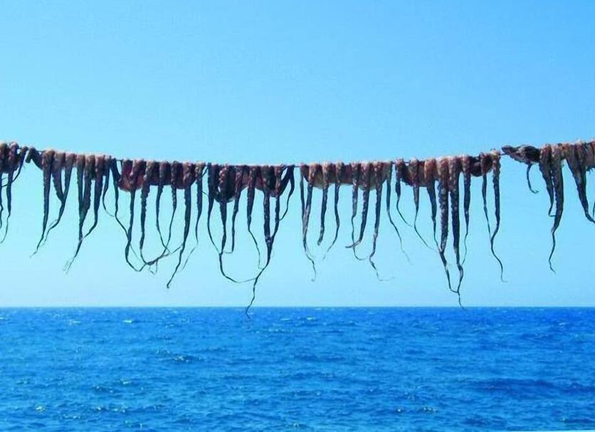 Plage Photo