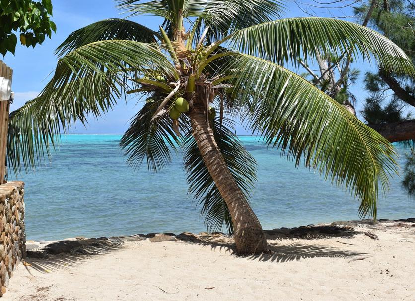 Plage Photo