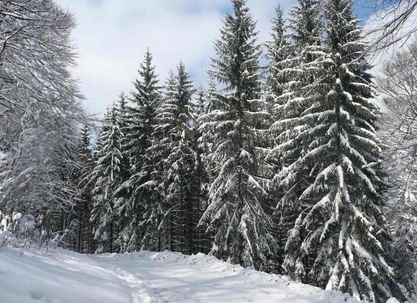 Extérieur Photo