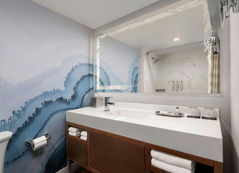Salle de bain Photo