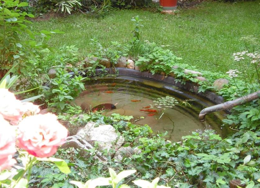 Extérieur Photo