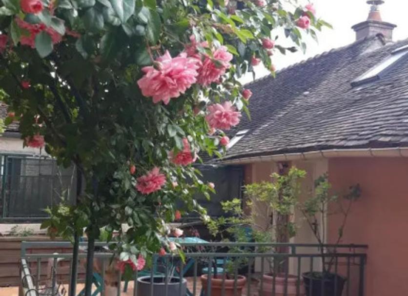 Extérieur Photo