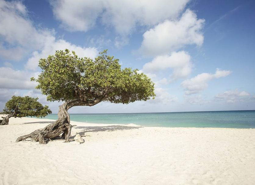 Plage Photo