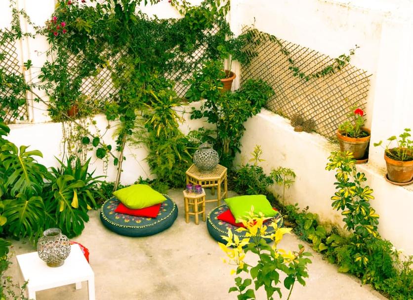 Patio Photo