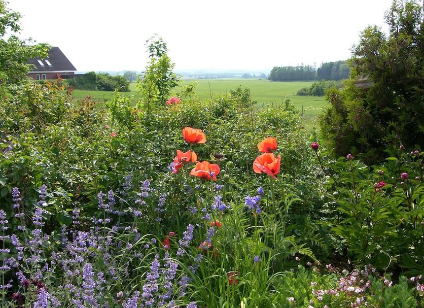 Extérieur Photo