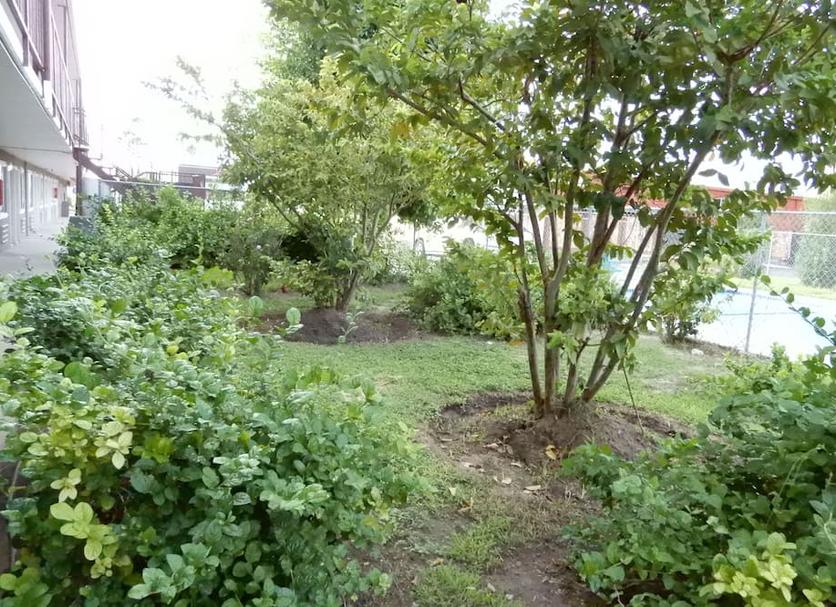 Extérieur Photo