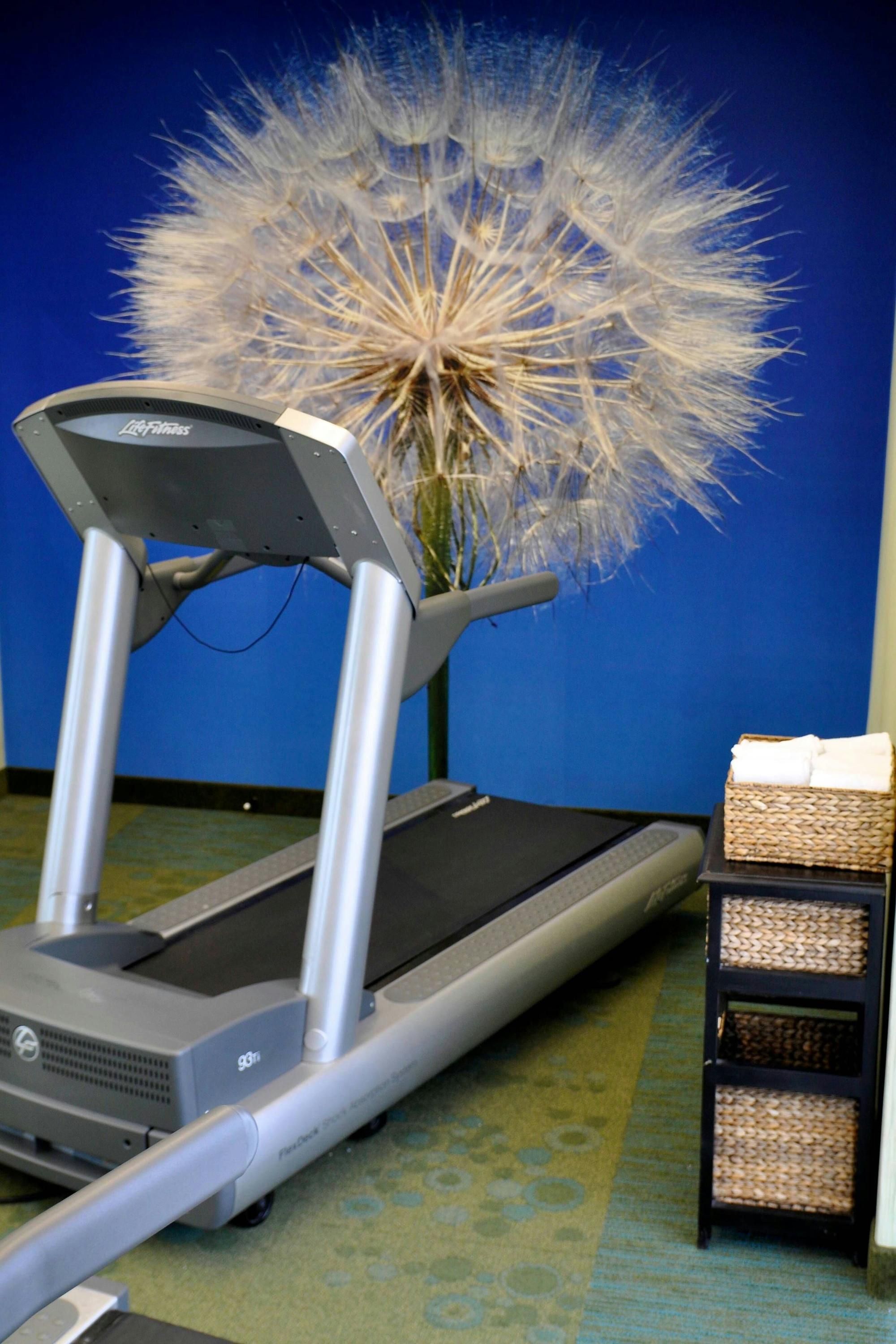 Salle de sport