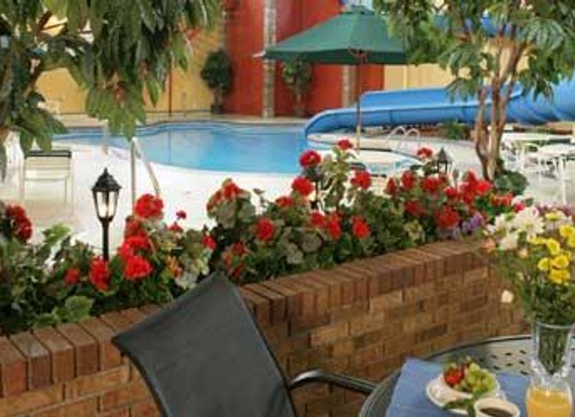 Piscine Photo