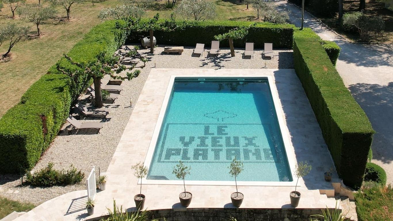 Le Vieux Platane
