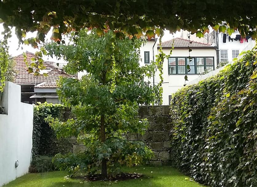 Extérieur Photo