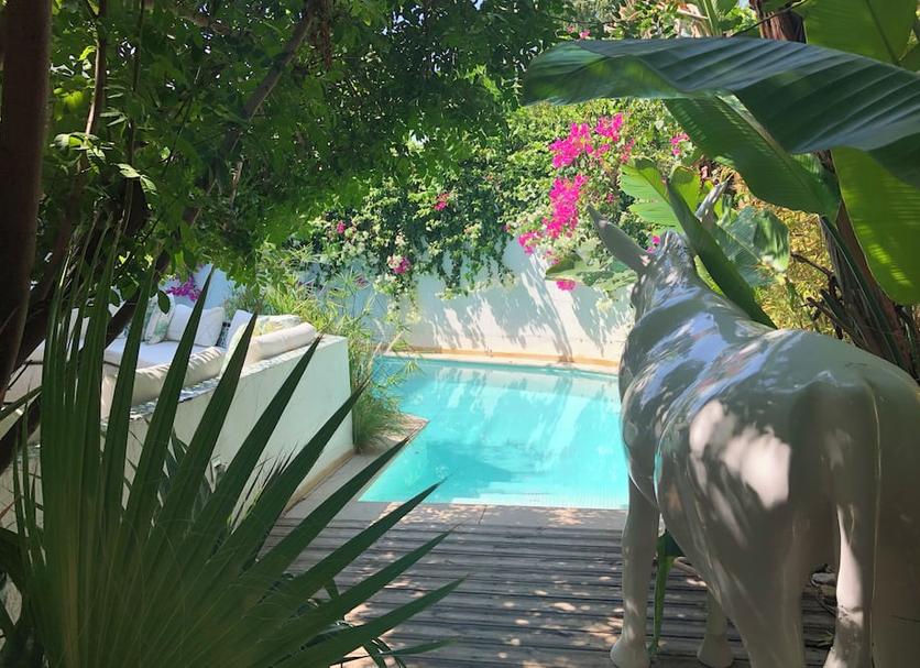 Piscine Photo