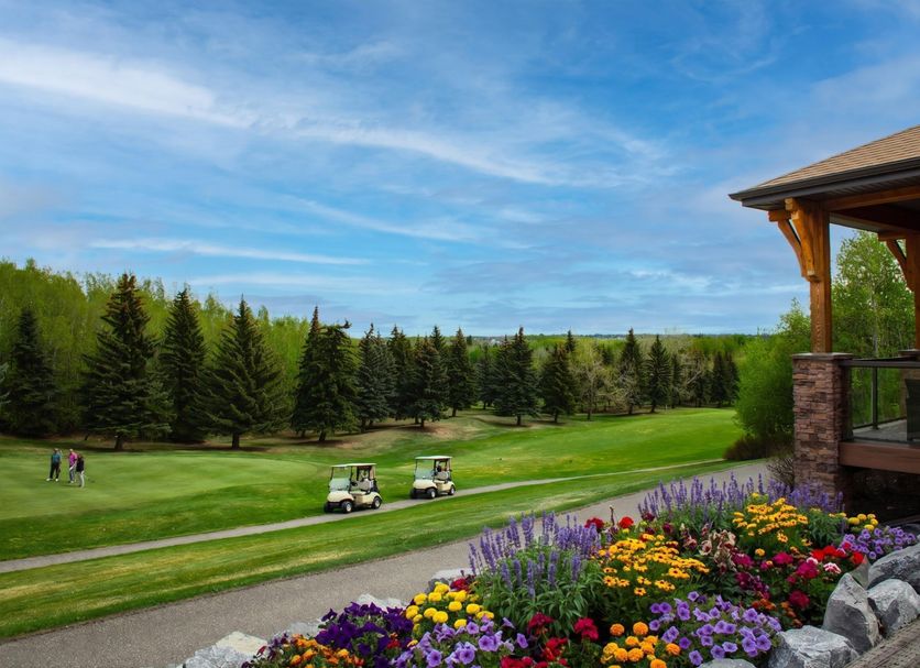 Golf Photo