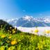 Autre