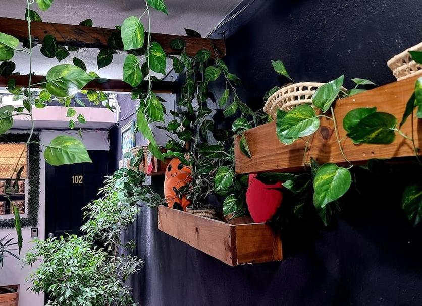 Extérieur Photo