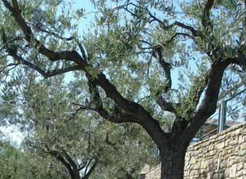 Extérieur Photo