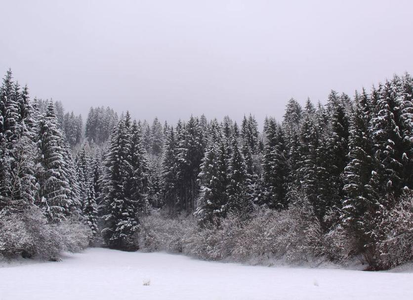 Extérieur Photo