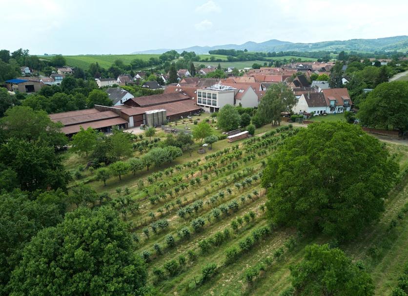 Extérieur Photo