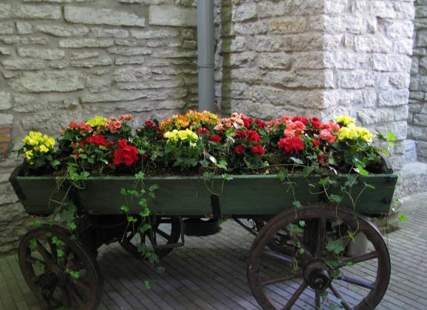 Extérieur Photo