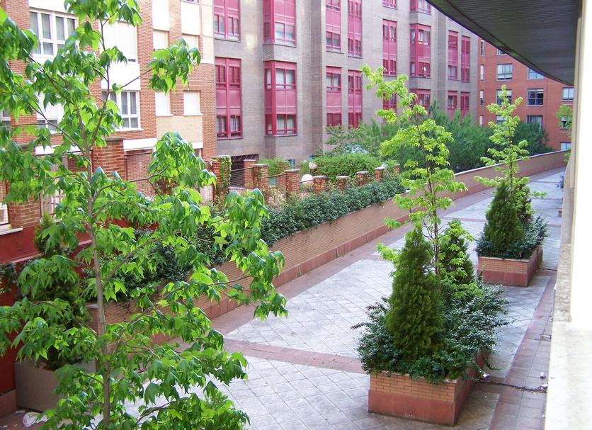 Extérieur Photo