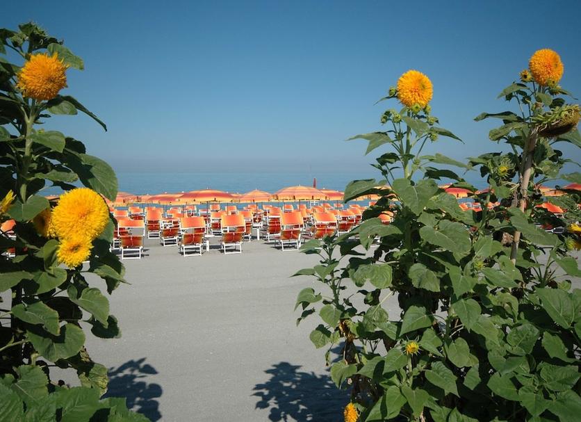 Plage Photo