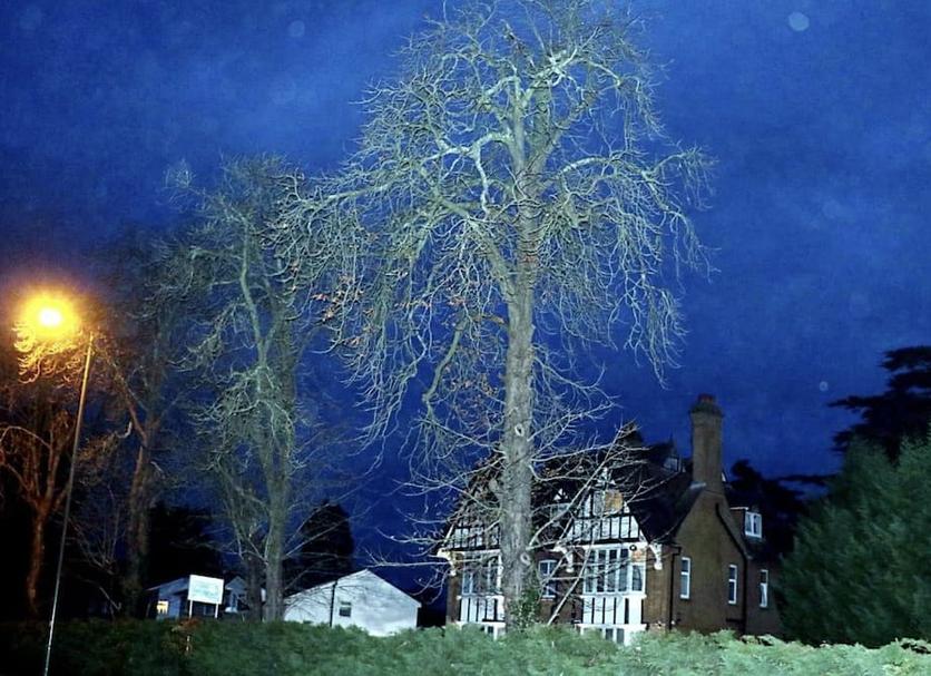 Extérieur Photo