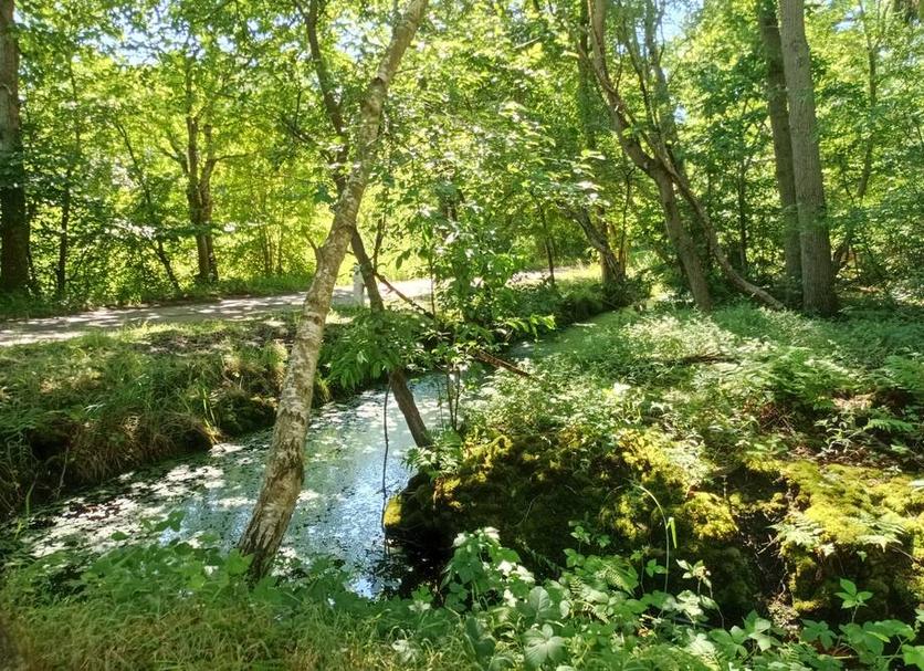 Extérieur Photo