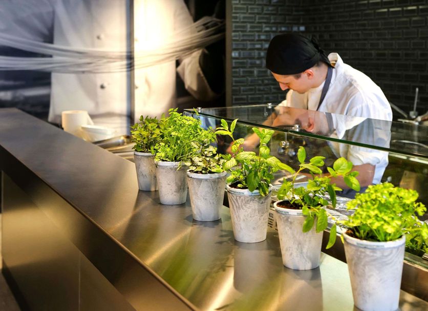 Restaurant Photo