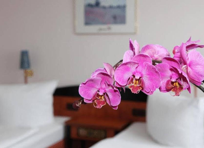 Équipements de la chambre Photo