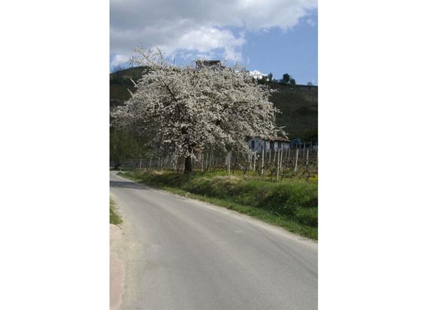 Extérieur Photo