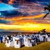 Salle de banquet