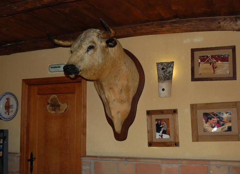 Équipements de la chambre Photo