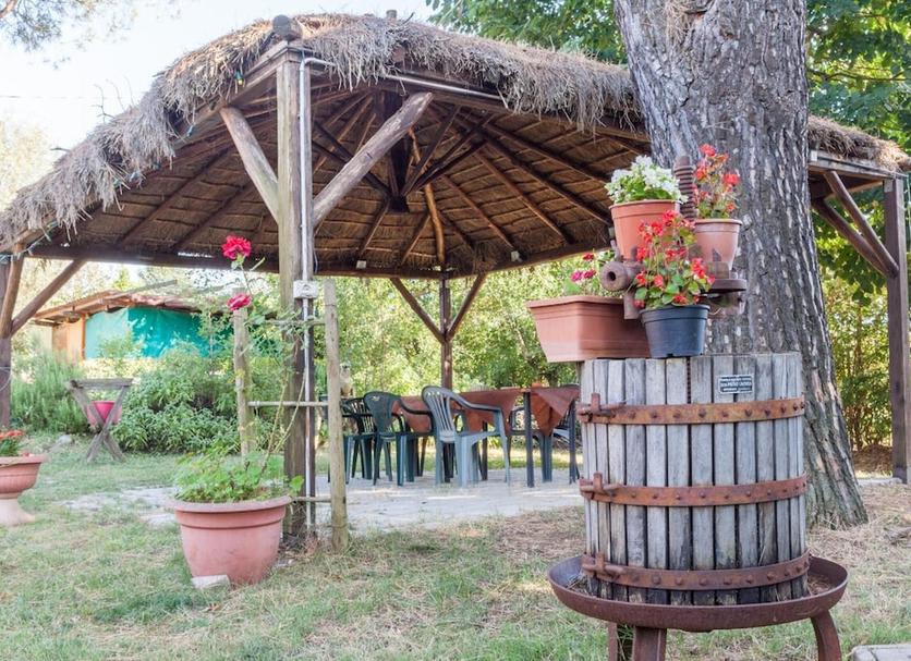 Patio Photo