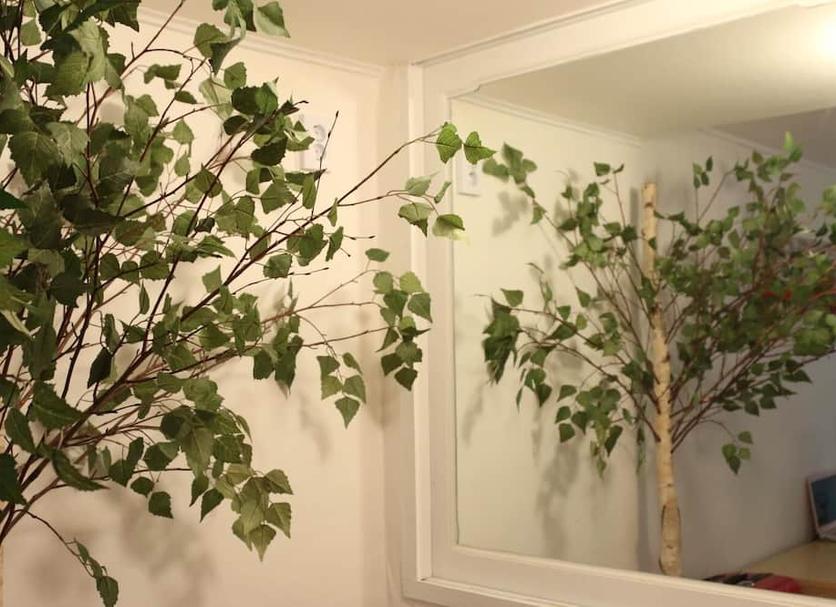 Équipements de la chambre Photo