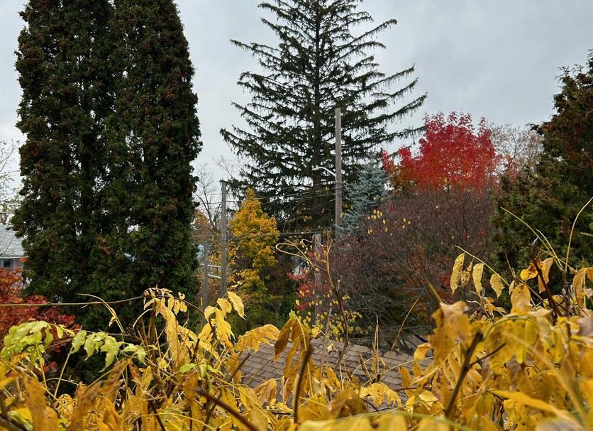 Extérieur Photo