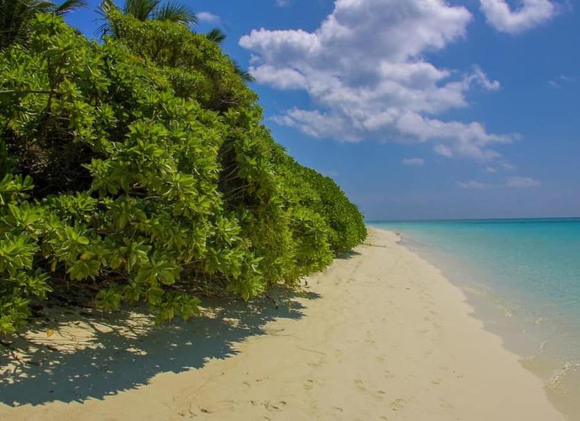 Plage Photo