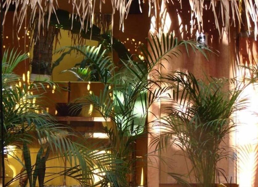 Extérieur Photo