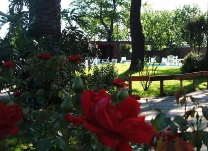 Extérieur Photo