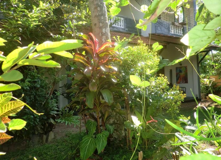 Extérieur Photo