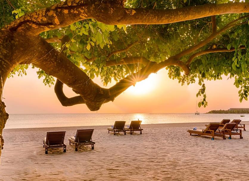 Plage Photo