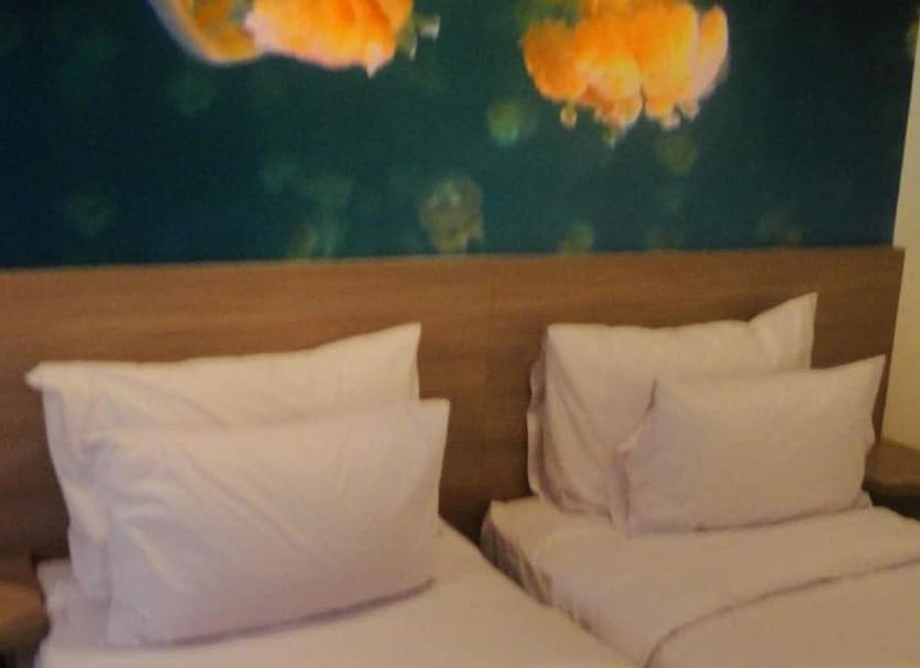 Équipements de la chambre Photo