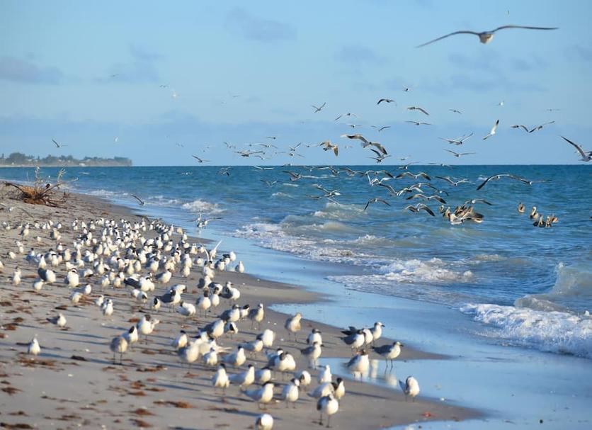 Plage Photo