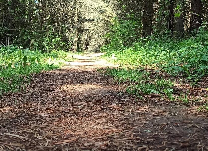 Extérieur Photo