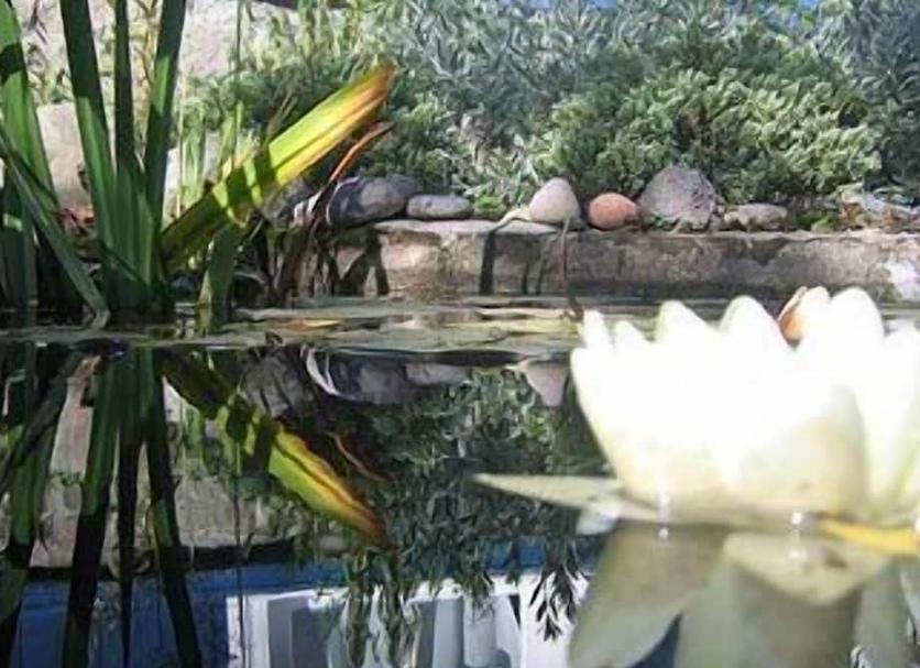 Extérieur Photo