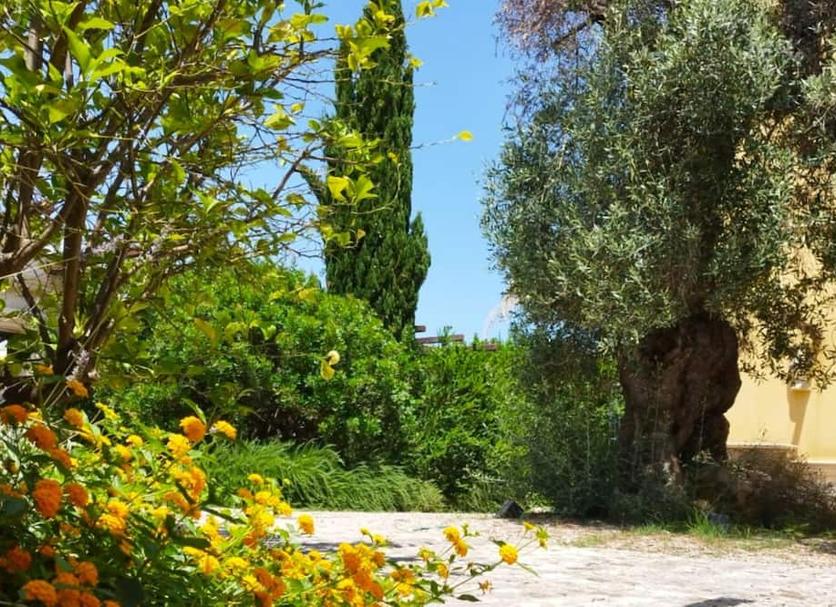 Extérieur Photo