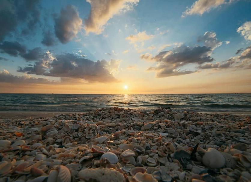 Plage Photo
